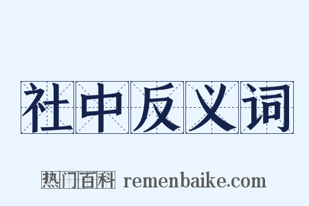 社中反义词是什么意思的图片